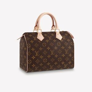 Louis Vuitton Speedy 25 handbag